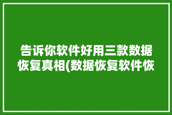 告诉你软件好用三款数据恢复真相(数据恢复软件恢复好用告诉你)