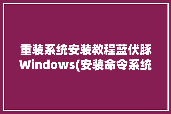 重装系统安装教程蓝伏豚Windows(安装命令系统重装系统教程)