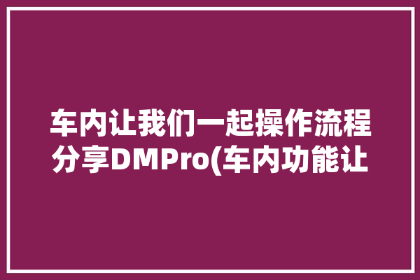 车内让我们一起操作流程分享DMPro(车内功能让我们一起操作流程麦克风)