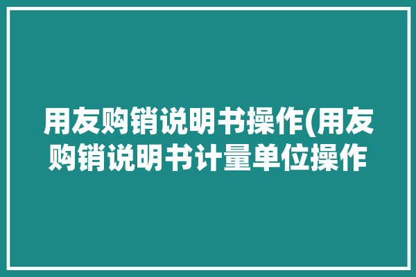 用友购销说明书操作(用友购销说明书计量单位操作)「用友购销存操作流程」