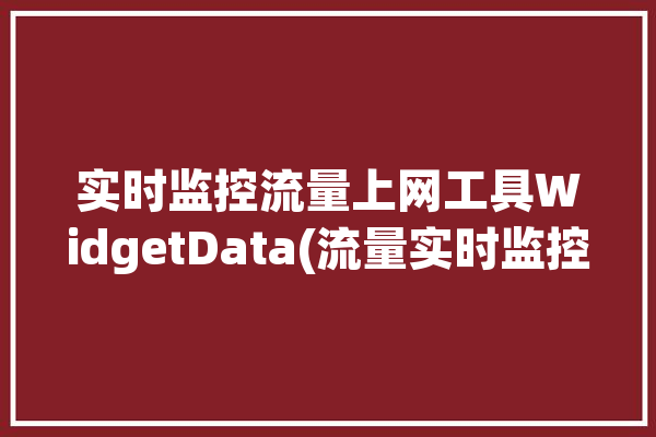 实时监控流量上网工具WidgetData(流量实时监控上网工具玩家)「实时网络流量监控」