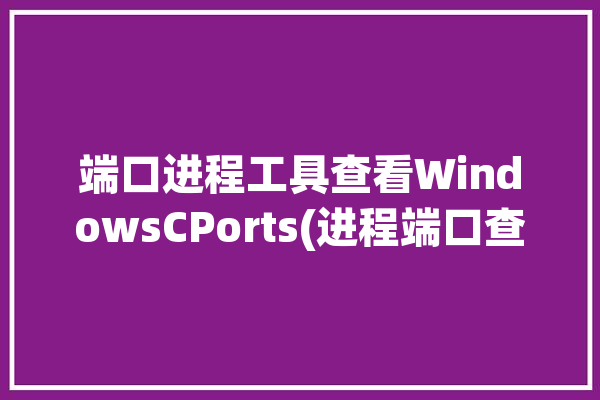 端口进程工具查看WindowsCPorts(进程端口查看您可以工具)「端口进程查询」