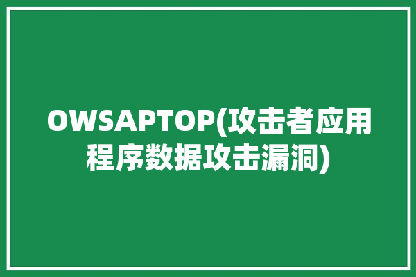 OWSAPTOP(攻击者应用程序数据攻击漏洞)「攻击数据包」