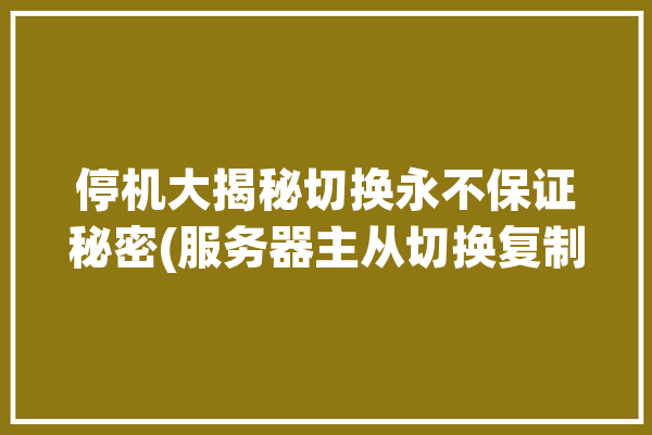 停机大揭秘切换永不保证秘密(服务器主从切换复制保证)「服务器用户切换」