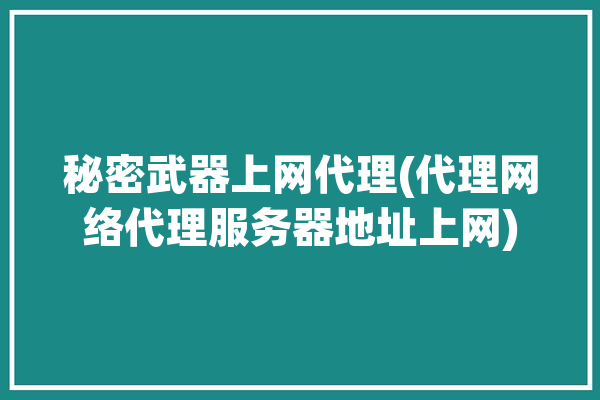 秘密武器上网代理(代理网络代理服务器地址上网)「秘密武器什么意思」