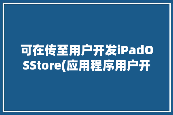 可在传至用户开发iPadOSStore(应用程序用户开发自己的他们的)「在传输来自实时应用程序的数据」