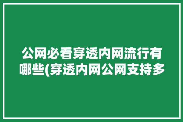 公网必看穿透内网流行有哪些(穿透内网公网支持多种)「内网穿透 公网」