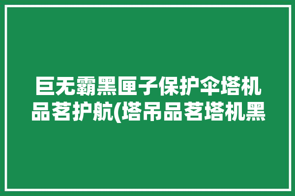 巨无霸黑匣子保护伞塔机品茗护航(塔吊品茗塔机黑匣子巨无霸)