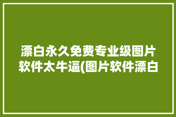 漂白永久免费专业级图片软件太牛逼(图片软件漂白永久免费专业级)