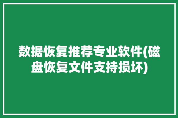 数据恢复推荐专业软件(磁盘恢复文件支持损坏)「磁盘数据恢复工具」