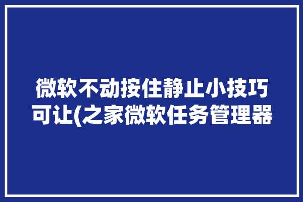 微软不动按住静止小技巧可让(之家微软任务管理器按住不动)「微软任务管理器快捷键」