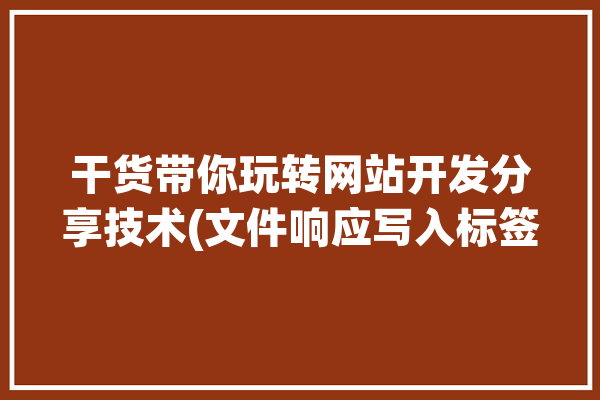 干货带你玩转网站开发分享技术(文件响应写入标签运行)「文件响应内容」