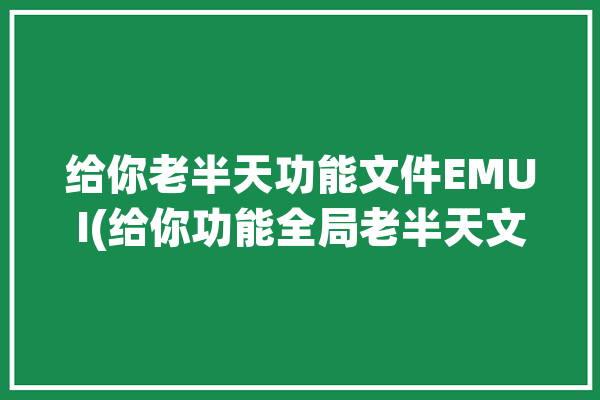 给你老半天功能文件EMUI(给你功能全局老半天文件)