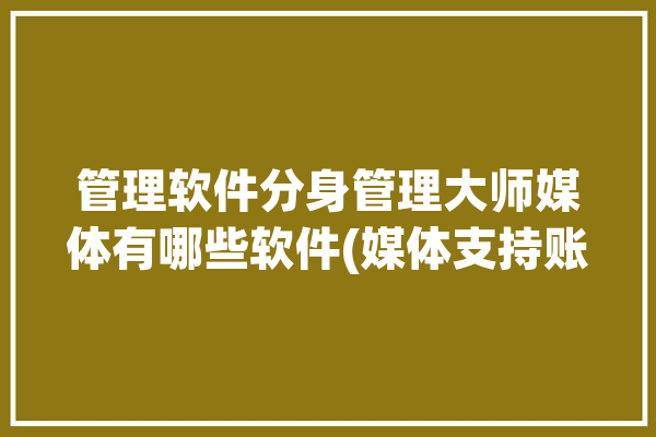 管理软件分身管理大师媒体有哪些软件(媒体支持账号一键管理软件)