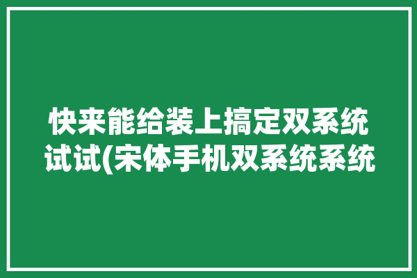 快来能给装上搞定双系统试试(宋体手机双系统系统快来)