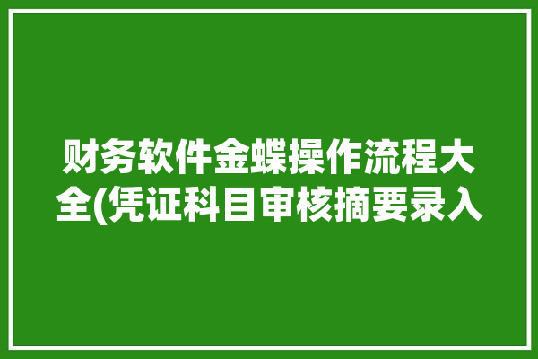 财务软件金蝶操作流程大全(凭证科目审核摘要录入)「金蝶软件凭证录入后怎么审核」