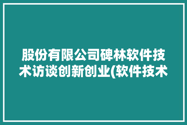 股份有限公司碑林软件技术访谈创新创业(软件技术股份有限公司碑林国际在线股份)