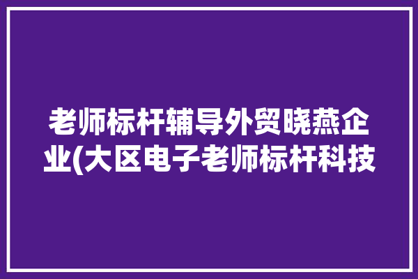 老师标杆辅导外贸晓燕企业(大区电子老师标杆科技)