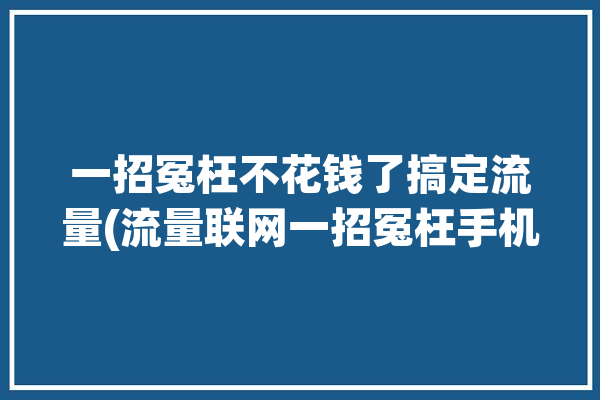 一招冤枉不花钱了搞定流量(流量联网一招冤枉手机)「怎么骗流量」