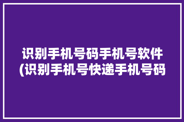 识别手机号码手机号软件(识别手机号快递手机号码收件人)