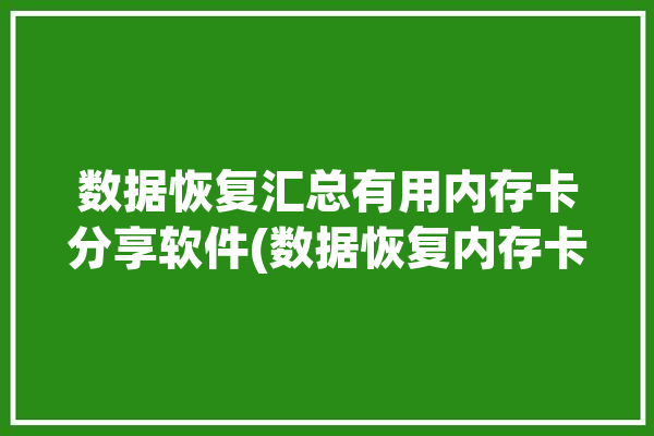 数据恢复汇总有用内存卡分享软件(数据恢复内存卡恢复软件用户)