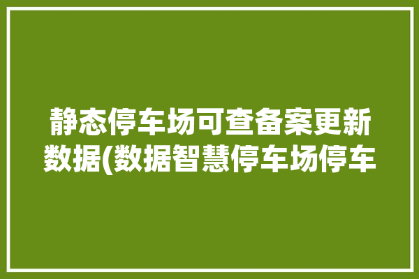 静态停车场可查备案更新数据(数据智慧停车场停车公交)「静态交通停车场」