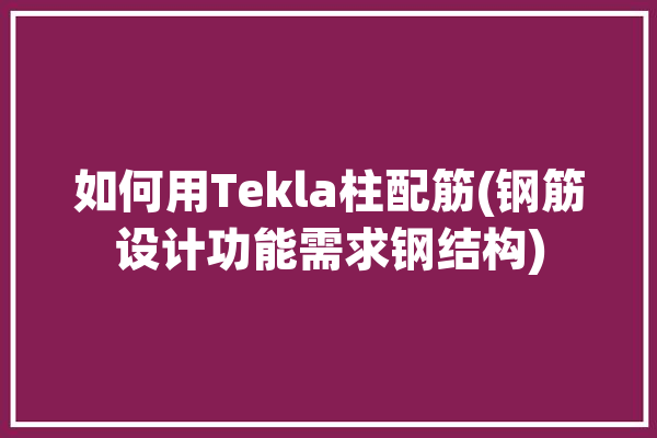 如何用Tekla柱配筋(钢筋设计功能需求钢结构)「tekla怎样添加钢柱材质」