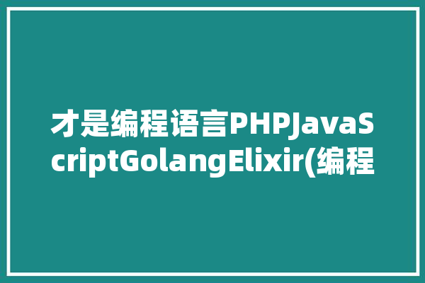 才是编程语言PHPJavaScriptGolangElixir(编程语言函数类型才是代码)「编程语言的函数是什么东西」