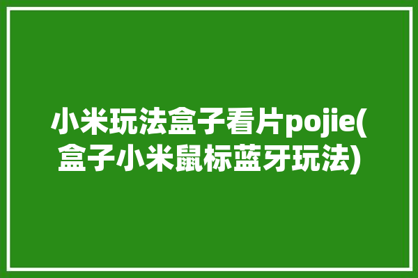 小米玩法盒子看片pojie(盒子小米鼠标蓝牙玩法)「小米盒子怎么玩」