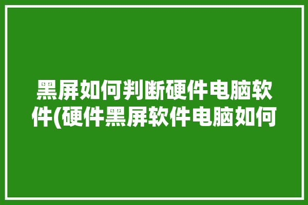 黑屏如何判断硬件电脑软件(硬件黑屏软件电脑如何判断)