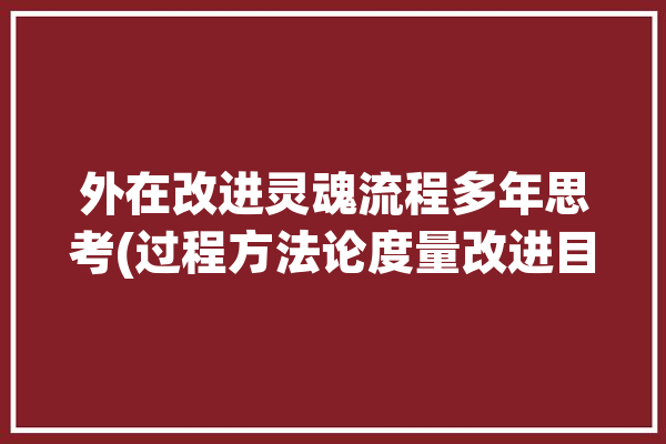 外在改进灵魂流程多年思考(过程方法论度量改进目标)「外在改变内在」