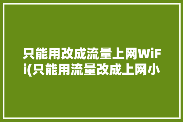 只能用改成流量上网WiFi(只能用流量改成上网小编)「只能用流量不能用wifi」