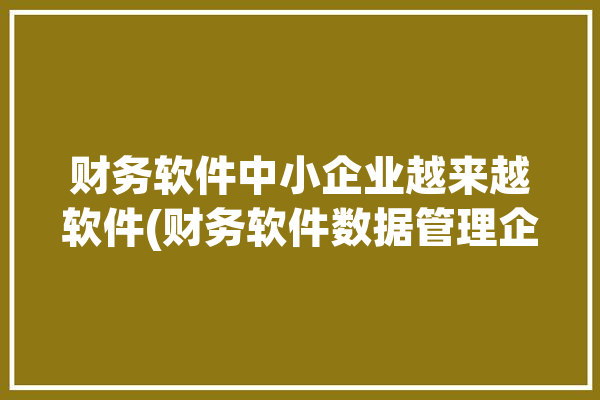 财务软件中小企业越来越软件(财务软件数据管理企业财务管理)「财务软件 小企业」