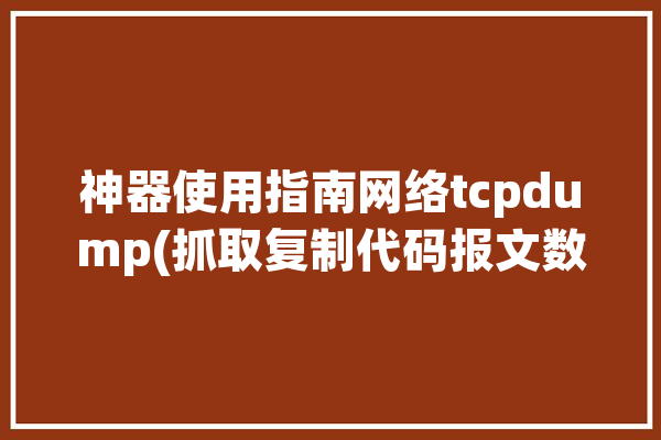 神器使用指南网络tcpdump(抓取复制代码报文数据)「tcpdump抓取udp报文」