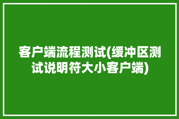 客户端流程测试(缓冲区测试说明符大小客户端)「服务端缓存测试」