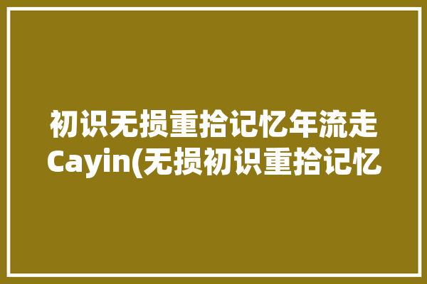 初识无损重拾记忆年流走Cayin(无损初识重拾记忆播放器)