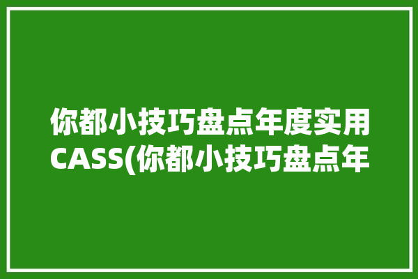 你都小技巧盘点年度实用CASS(你都小技巧盘点年度实用)「cass用法」