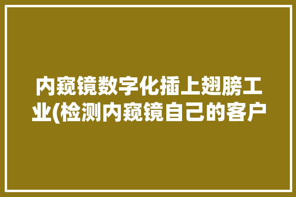 内窥镜数字化插上翅膀工业(检测内窥镜自己的客户数字化)「内窥镜检查数字摄像系统」