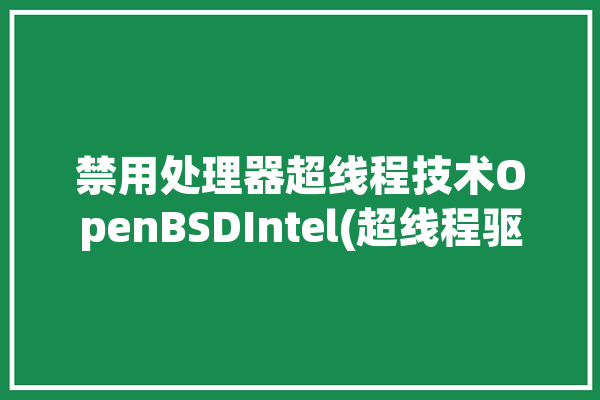 禁用处理器超线程技术OpenBSDIntel(超线程驱动之家处理器禁用缓存)「禁用cpu超线程」