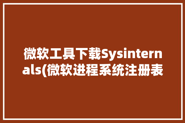 微软工具下载Sysinternals(微软进程系统注册表文件)