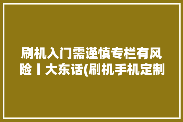 刷机入门需谨慎专栏有风险丨大东话(刷机手机定制深度入门)