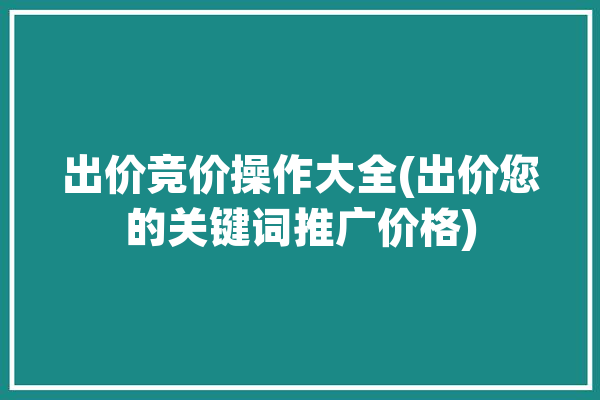 出价竞价操作大全(出价您的关键词推广价格)「竞价出价策略」