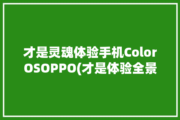 才是灵魂体验手机ColorOSOPPO(才是体验全景手机灵魂)「oppo全景屏」