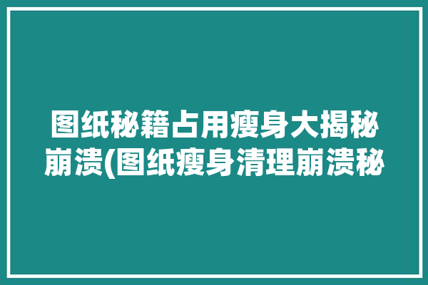 图纸秘籍占用瘦身大揭秘崩溃(图纸瘦身清理崩溃秘籍)「图纸减肥」