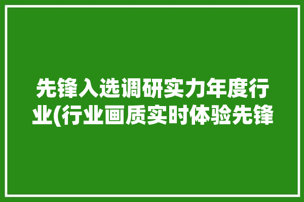 先锋入选调研实力年度行业(行业画质实时体验先锋)「请问先锋」