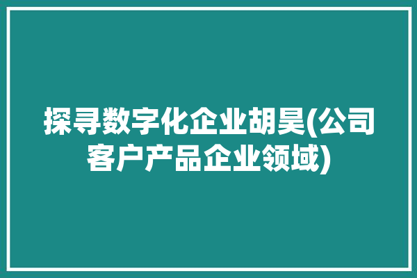 探寻数字化企业胡昊(公司客户产品企业领域)「数字化交易创始人胡明哲」