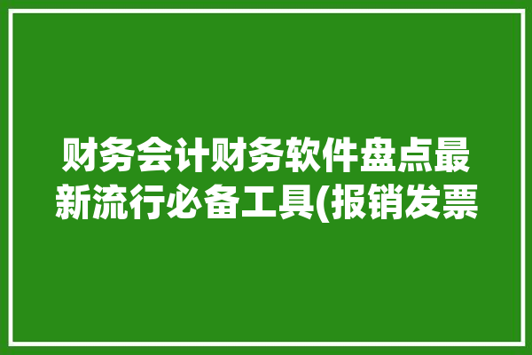 财务会计财务软件盘点最新流行必备工具(报销发票工具记账财务会计)