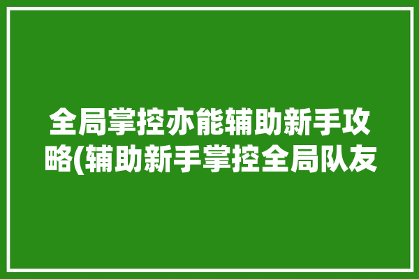 全局掌控亦能辅助新手攻略(辅助新手掌控全局队友)「全局掌控能力」