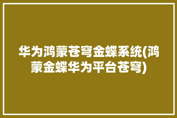 华为鸿蒙苍穹金蝶系统(鸿蒙金蝶华为平台苍穹)