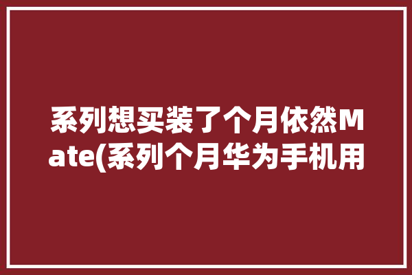 系列想买装了个月依然Mate(系列个月华为手机用户)「华为mate系列还有新机吗」